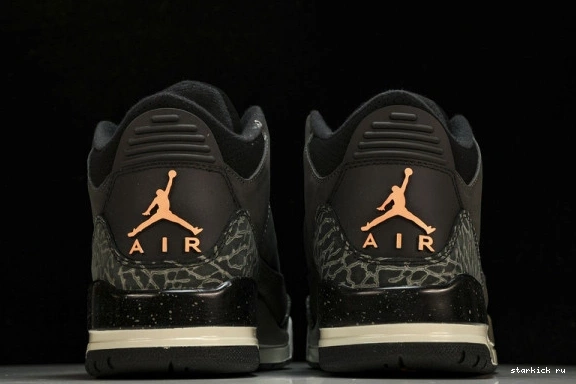Fear Jordan CT8532-080 (2023) CT8532-080 Retro 3 0902